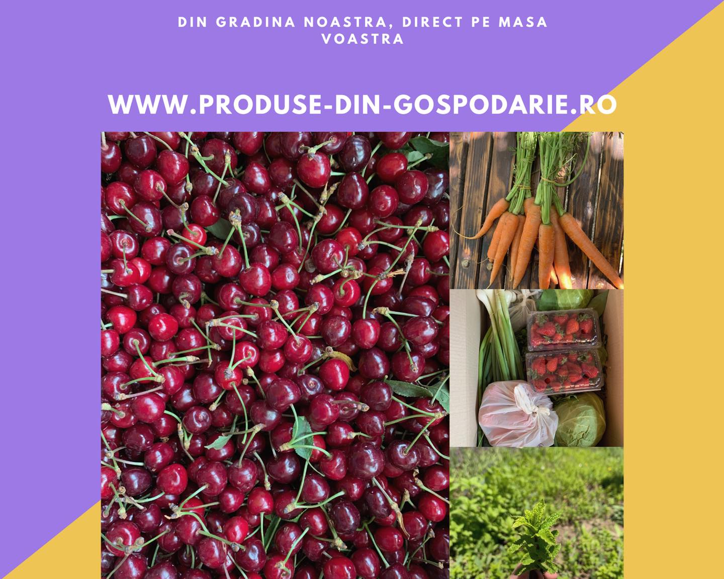 May be an image of text that says 'DIN DIN GRADINA NOASTRA, DIRECT PE MASA VOASTRA VOASTRA WWW.PRODUSE-DIN-GOSPODARIE.RO'